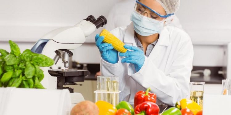 Lĩnh vực được nhiều bạn trẻ chọn lựa