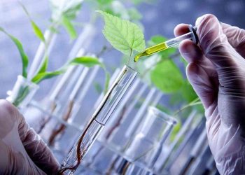 Ngành Công nghệ sinh học là gì?