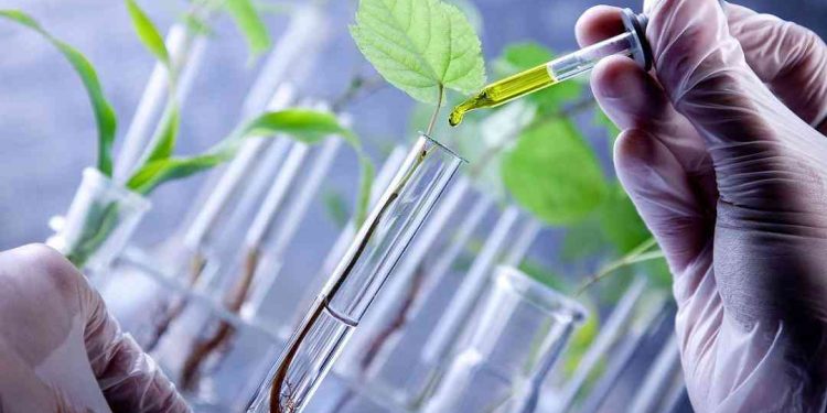 Ngành Công nghệ sinh học là gì?