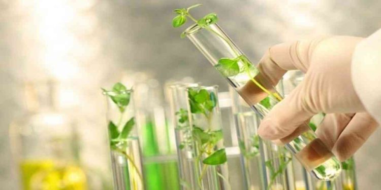 Trong nông nghiệp