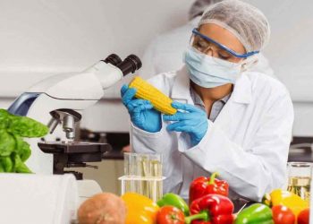 Chuyên ngành đào tạo của ngành Công nghệ thực phẩm