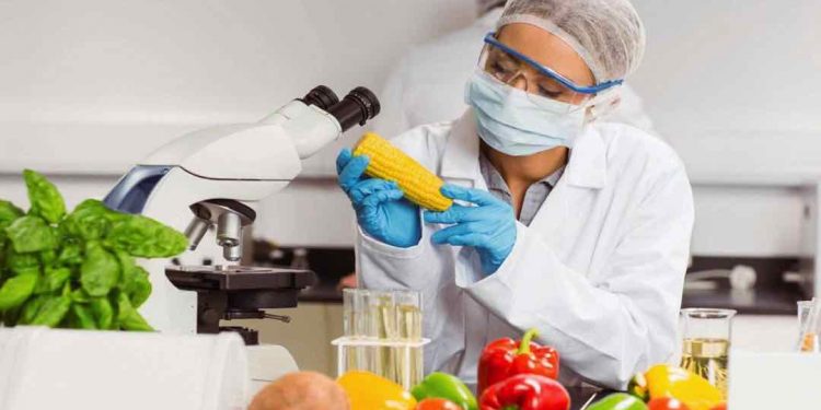 Chuyên ngành đào tạo của ngành Công nghệ thực phẩm